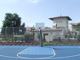 Basketball Court