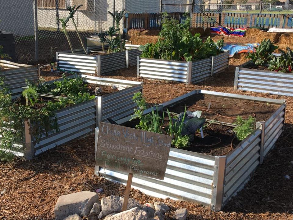 Chula Vista High School Garden