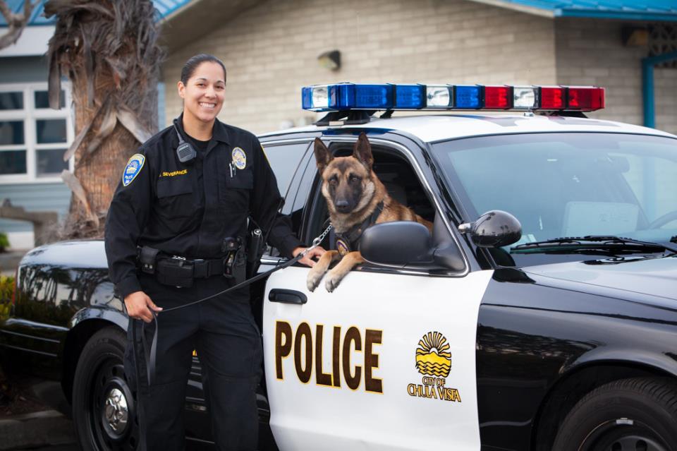 Police officer, police dog and police car 