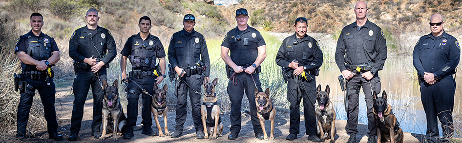 K9 Team Banner