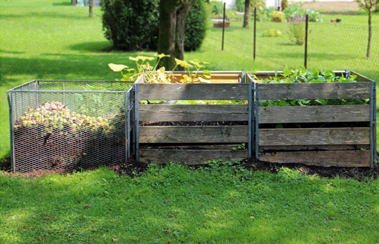 compost piles