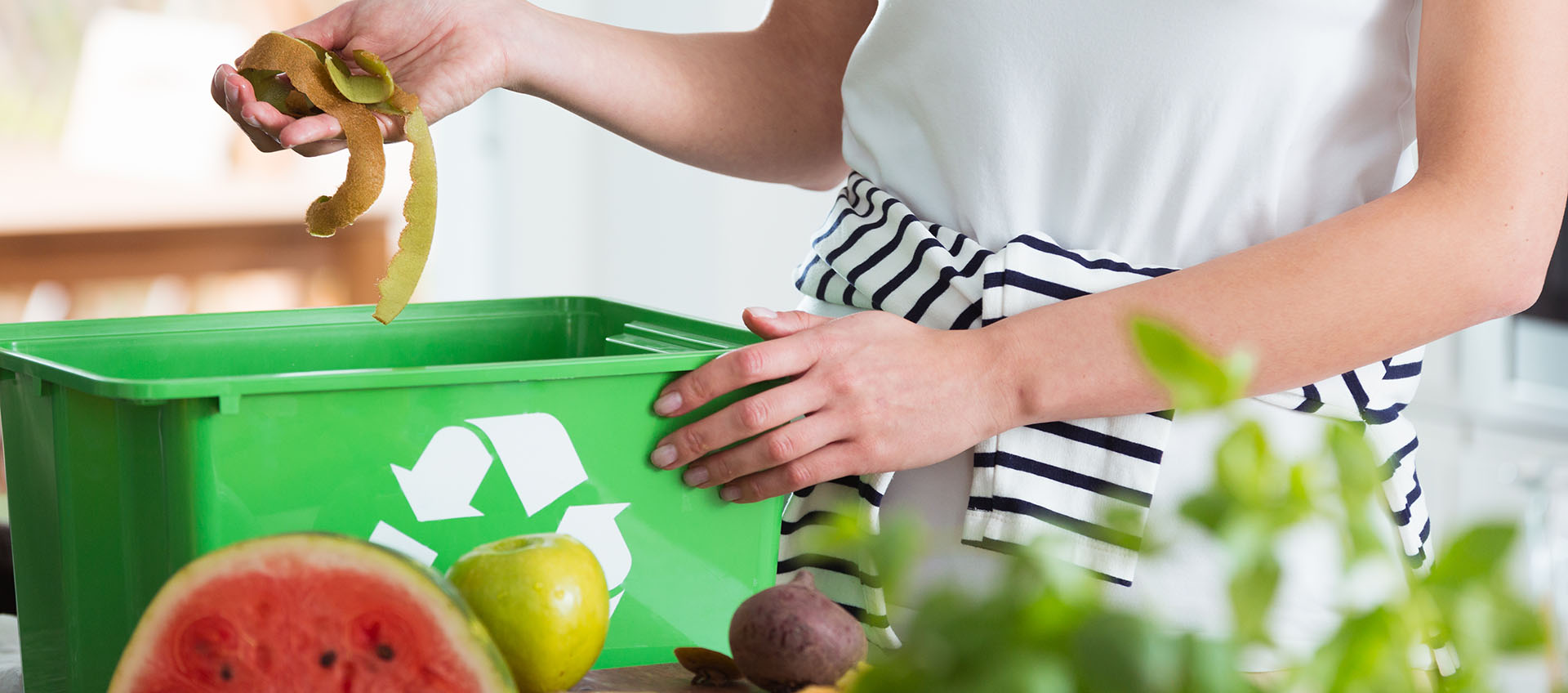 Food and Yard Waste Collection