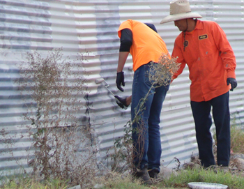 Graffiti Removal