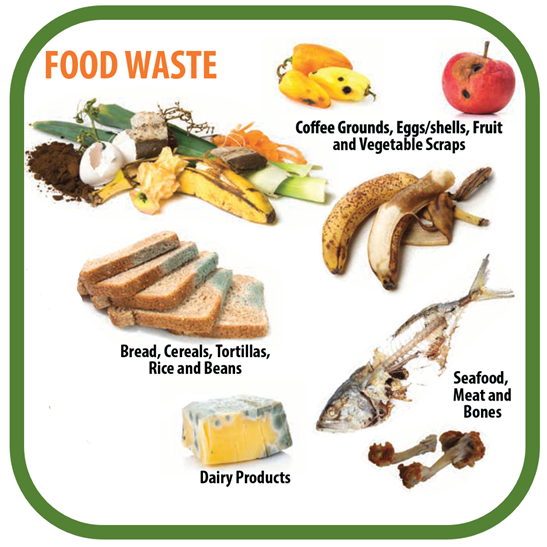 food waste