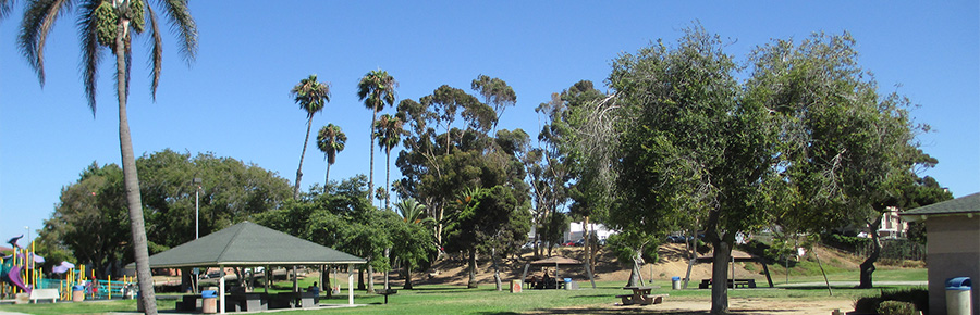 Eucalyptus Park