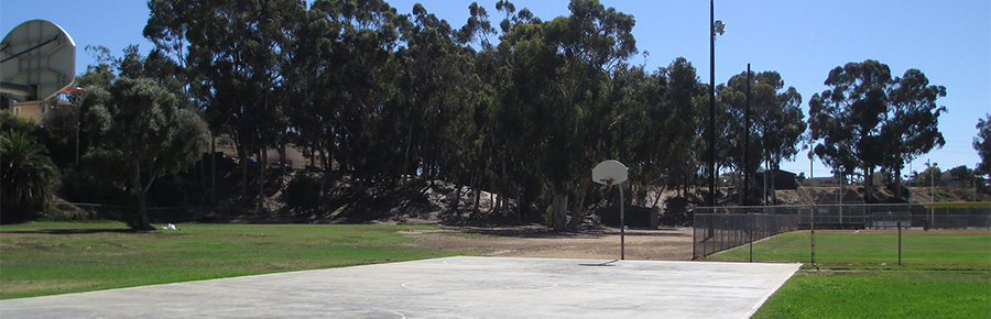 Eucalyptus Park field