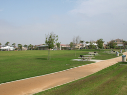 Harvest Park Picnic Area