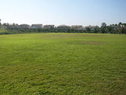 Harvest Park Open Green Space