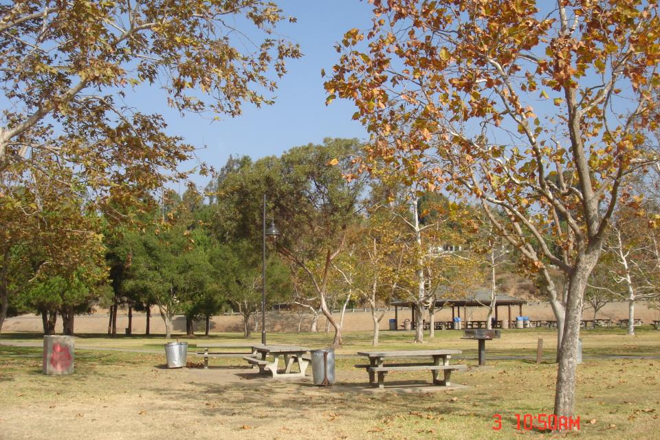 Lauderbach Park Picnic Area