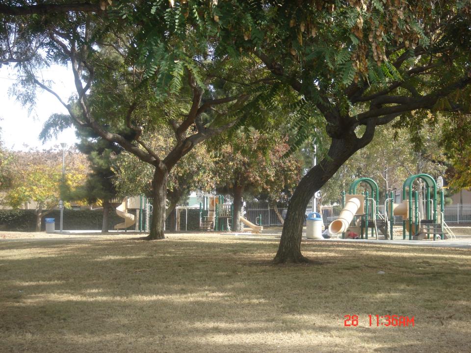 Lauderbach Park Wide View