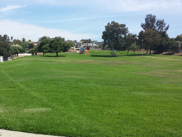 Los Ninos Park Open Green Space