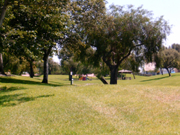 El Rancho del Rey Park