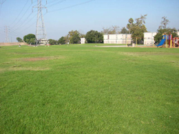 SDG&amp;E West Open Green Space