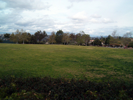 Terra Nova Park Open Green Space