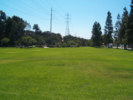 Sunridge Park Open Green Space