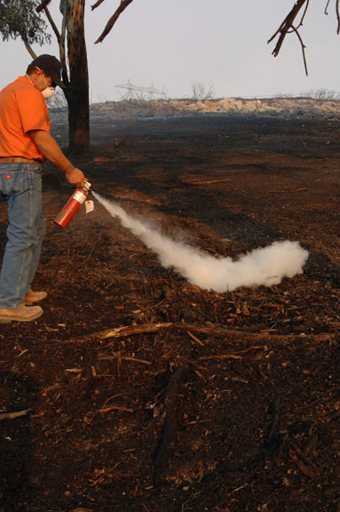 Man extinguishing small brush fire