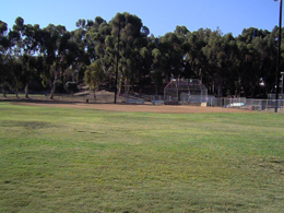 Eucalyptus Park Field